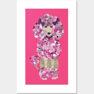 Fun Paint Splatter Poodle Posters and Art